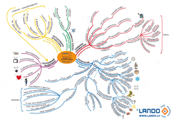  «Структурированное мышление. Как запоминать тексты на 100%” в Lando